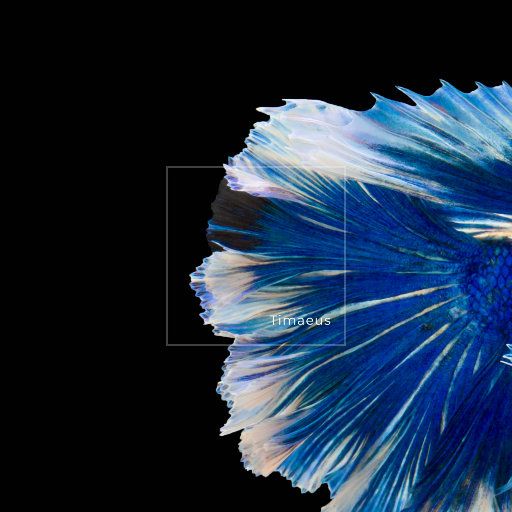 三个人猛躁我一晚上Np
